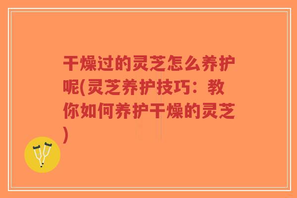 干燥过的灵芝怎么养护呢(灵芝养护技巧：教你如何养护干燥的灵芝)