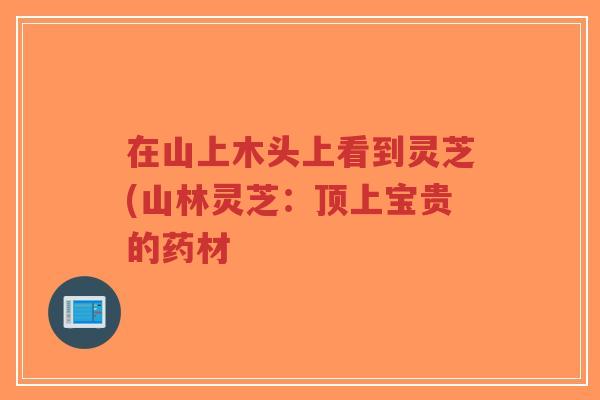 在山上木头上看到灵芝(山林灵芝：顶上宝贵的药材
