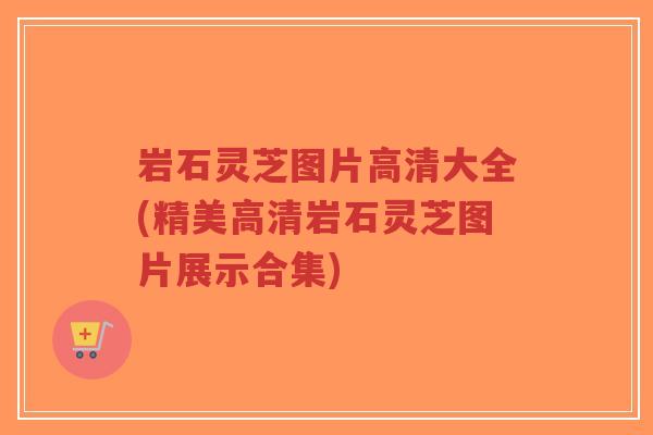 岩石灵芝图片高清大全(精美高清岩石灵芝图片展示合集)