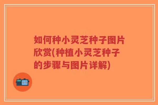如何种小灵芝种子图片欣赏(种植小灵芝种子的步骤与图片详解)