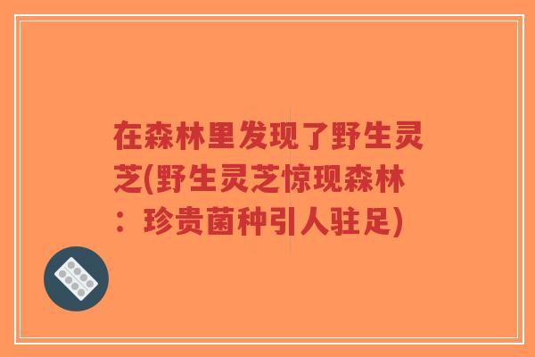 在森林里发现了野生灵芝(野生灵芝惊现森林：珍贵菌种引人驻足)