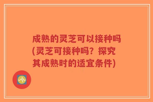 成熟的灵芝可以接种吗(灵芝可接种吗？探究其成熟时的适宜条件)