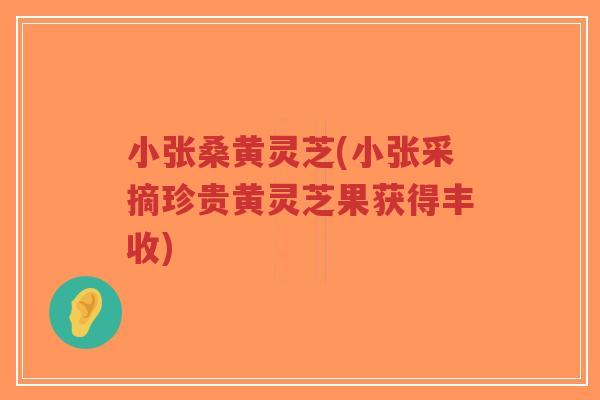 小张桑黄灵芝(小张采摘珍贵黄灵芝果获得丰收)