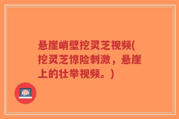 悬崖峭壁挖灵芝视频(挖灵芝惊险刺激，悬崖上的壮举视频。)
