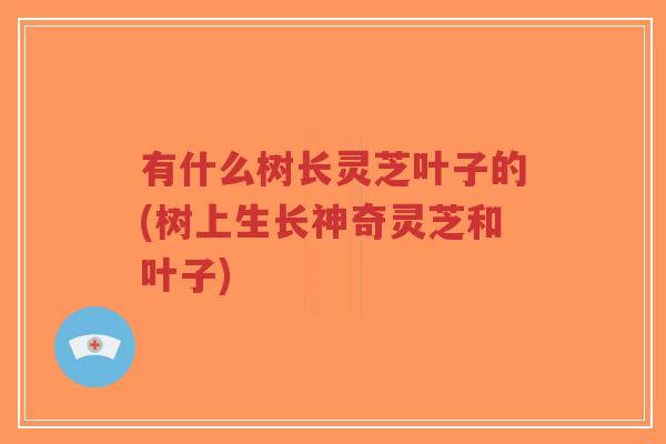 有什么树长灵芝叶子的(树上生长神奇灵芝和叶子)