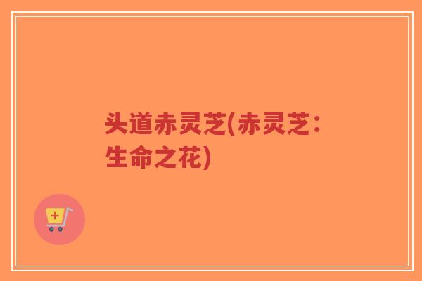 头道赤灵芝(赤灵芝：生命之花)