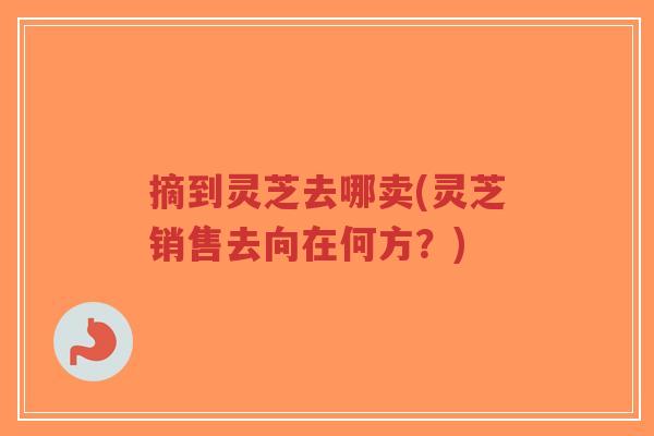摘到灵芝去哪卖(灵芝销售去向在何方？)