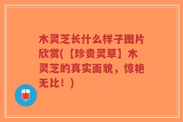 木灵芝长什么样子图片欣赏(【珍贵灵草】木灵芝的真实面貌，惊艳无比！)