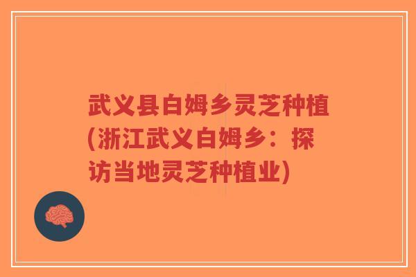 武义县白姆乡灵芝种植(浙江武义白姆乡：探访当地灵芝种植业)