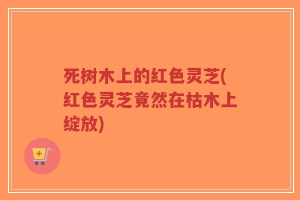 死树木上的红色灵芝(红色灵芝竟然在枯木上绽放)
