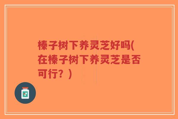 榛子树下养灵芝好吗(在榛子树下养灵芝是否可行？)
