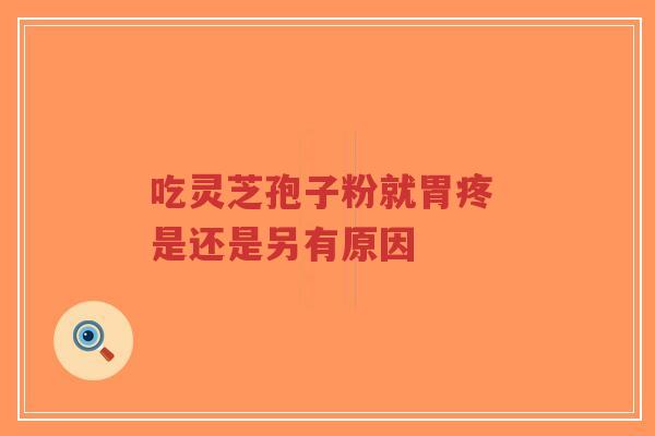 吃灵芝孢子粉就胃疼 是还是另有原因