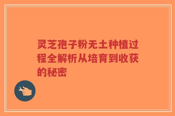 灵芝孢子粉无土种植过程全解析从培育到收获的秘密