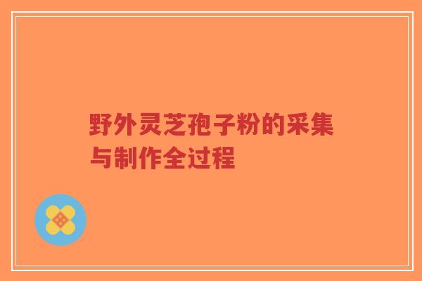 野外灵芝孢子粉的采集与制作全过程