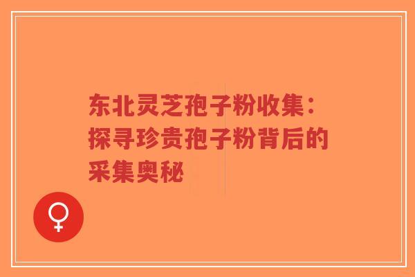 东北灵芝孢子粉收集：探寻珍贵孢子粉背后的采集奥秘