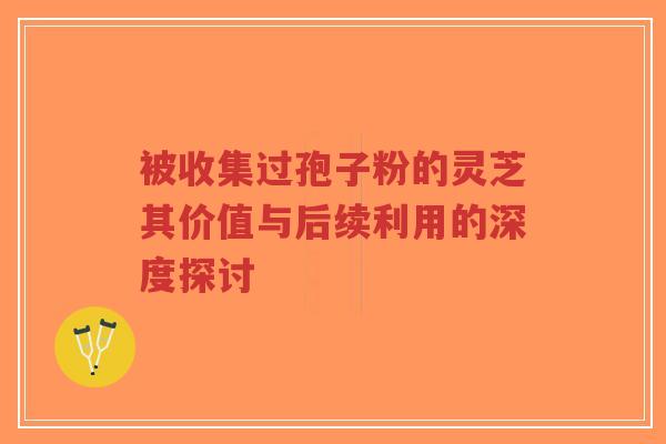 被收集过孢子粉的灵芝其价值与后续利用的深度探讨 被收集过孢子粉的灵芝其价值与后续利用的深度探讨