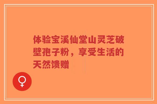 体验宝溪仙堂山灵芝破壁孢子粉，享受生活的天然馈赠