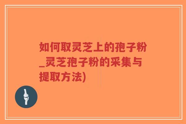 如何取灵芝上的孢子粉_灵芝孢子粉的采集与提取方法)